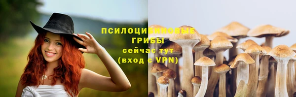 прущий лед Лихославль
