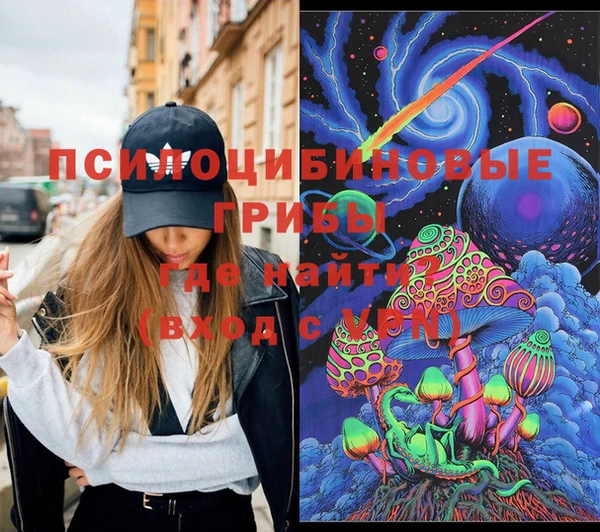 хмурый Лиски