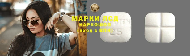 эйфоретик Липки