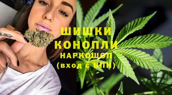 эйфоретик Липки