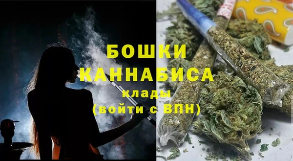 хмурый Лиски