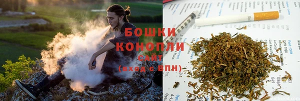 хмурый Лиски