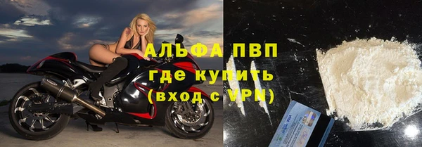 дживик Майский